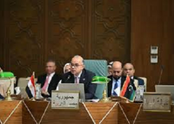 وزير الاستثمار