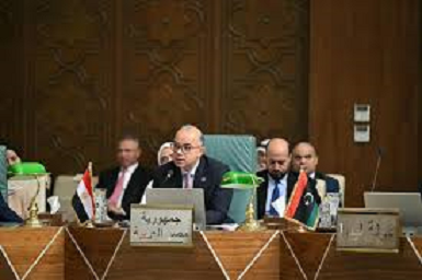 وزير الاستثمار